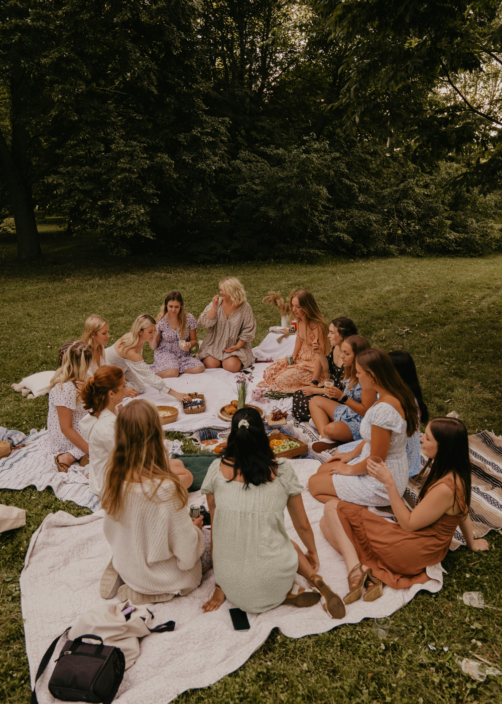 group-ladiesonpinicblanket