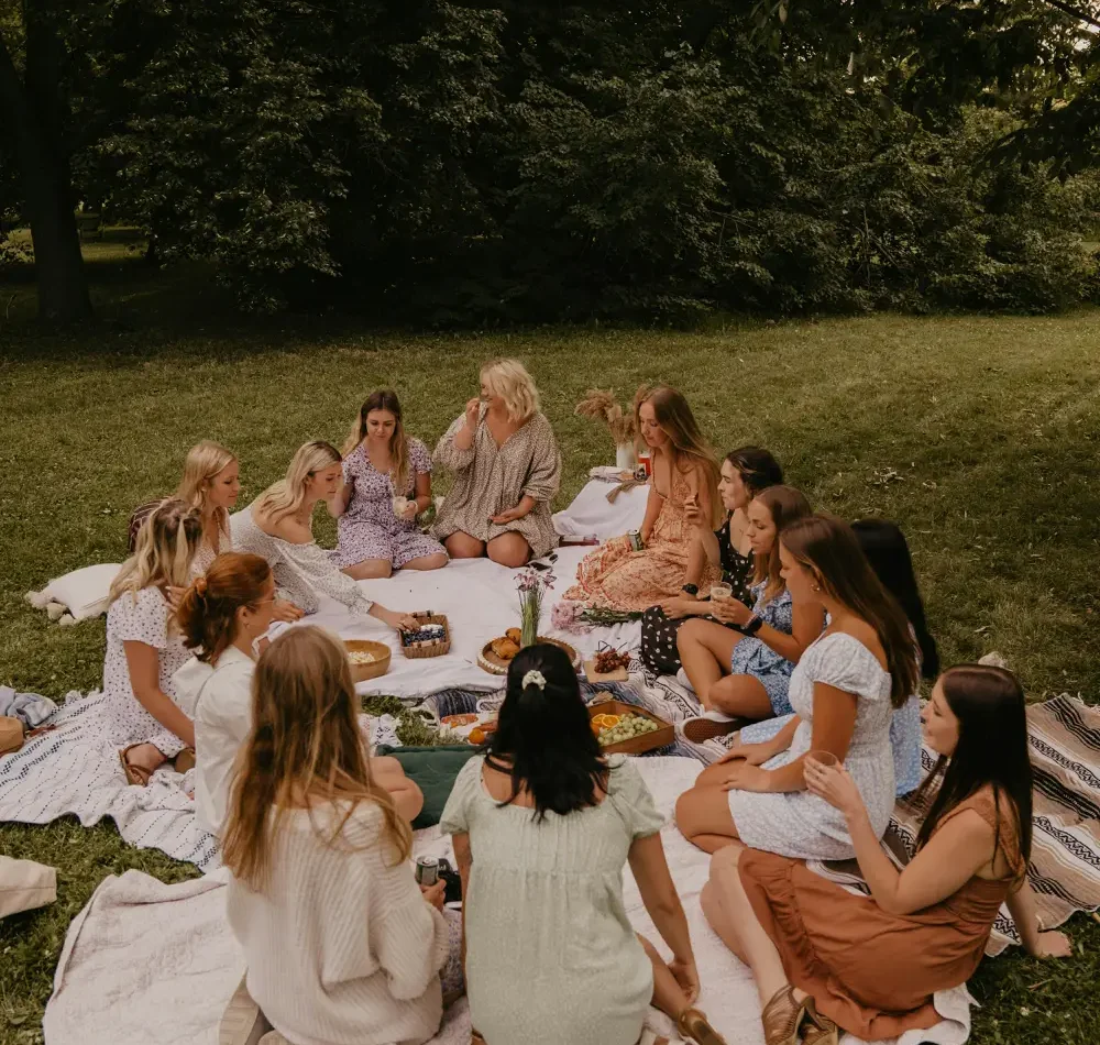 group-ladiesonpinicblanket