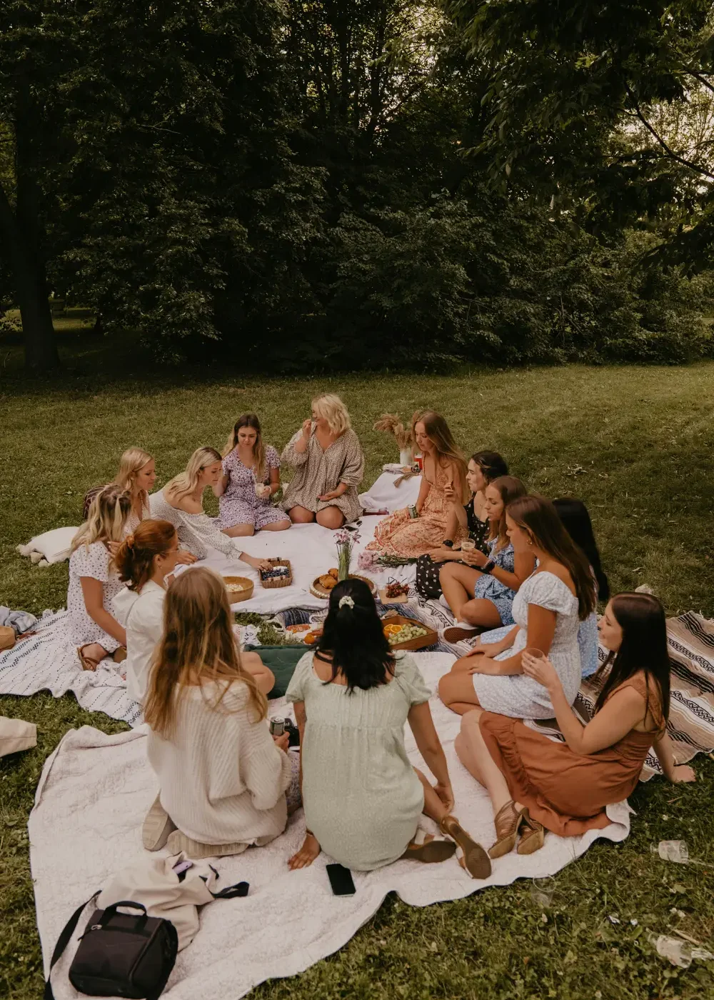 group-ladiesonpinicblanket